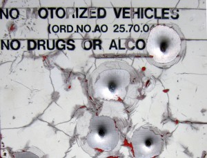 Alaskan road sign with bullet holes